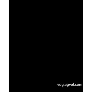 Y-3/胸元の定番アルファベット柄高密度ビロード刺繍ロゴロゴ長袖Tシャツ